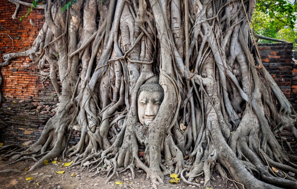 Ayutthaya Full-Day Tour with Bang Pa In (Summer Palace)